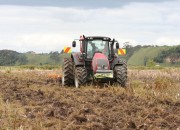 Cultivating ( Disking) Maize Stubble 