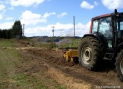 Stump Grinding and Grooming with Meri Crusher