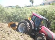 Mulching Tobacco Weed