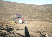 Grooming Roller Crushed / Burnt Gorse