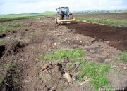 Stump chipping /Cultivation of Peat (One Pass)