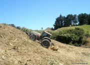 Mulching Big Gorse and Tobacco Weed