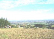 Mulching Gorse