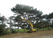 Topping of Large Trees