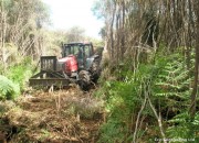 Mulching of Scrub Land