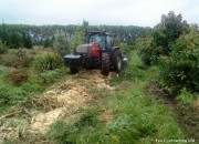 Mulching Wattle Shelter Trees